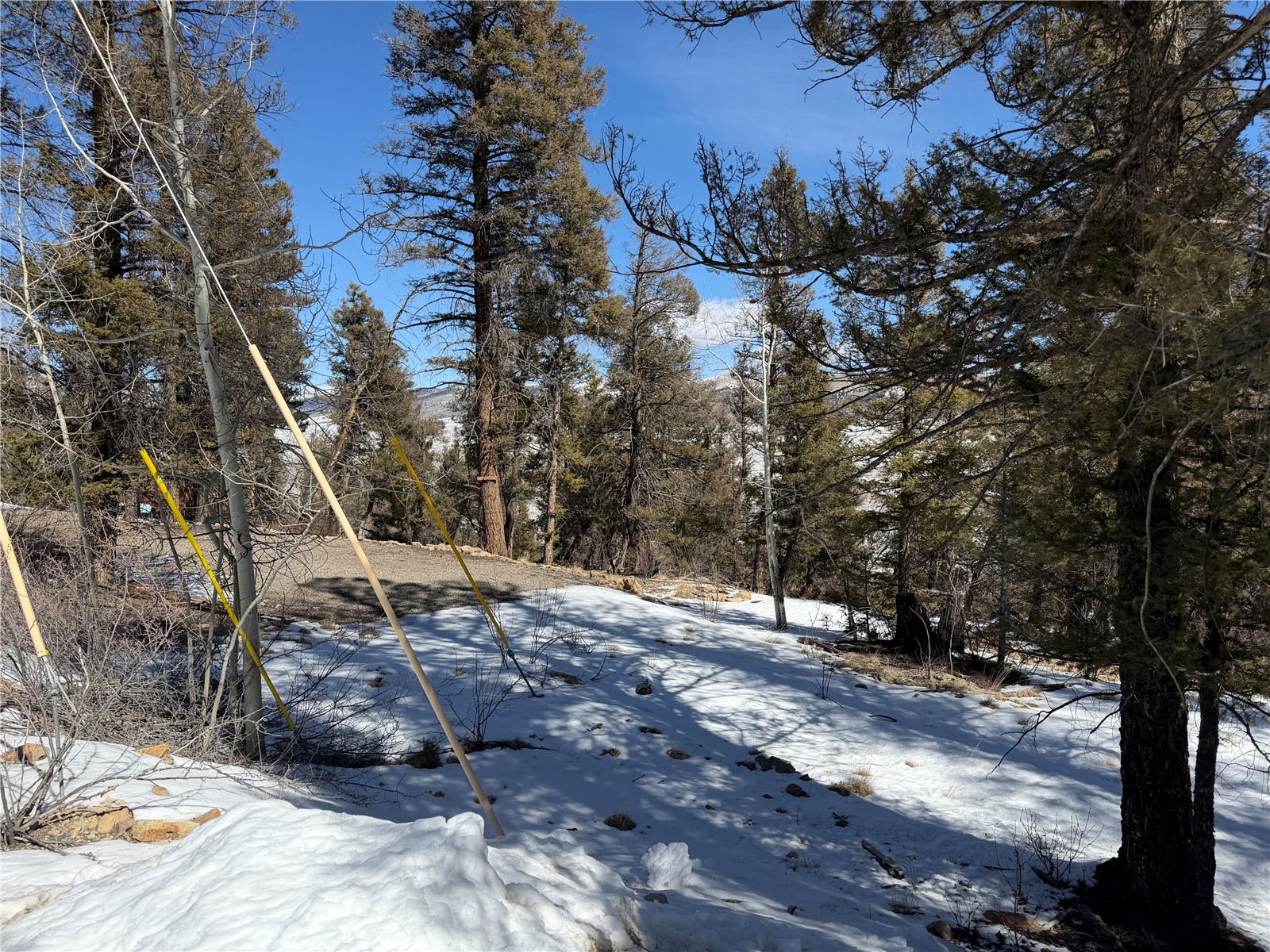 806 Middle Fork Property Photo 1
