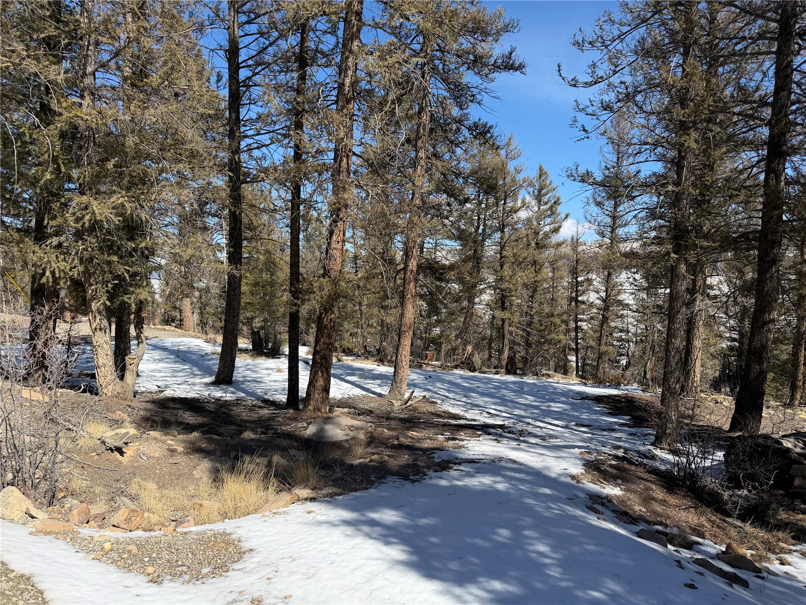806 Middle Fork Property Photo 3
