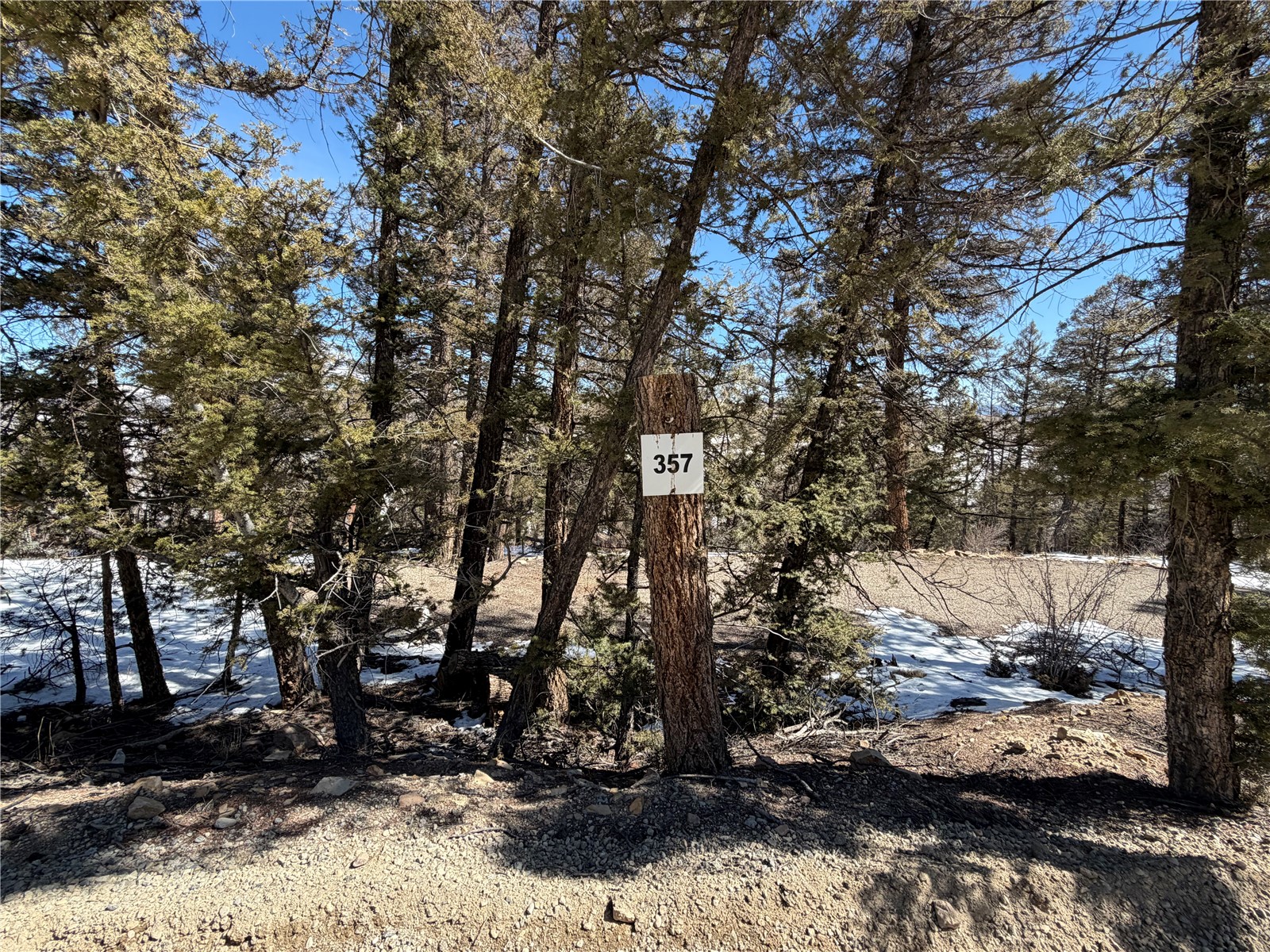 806 Middle Fork Property Photo 4