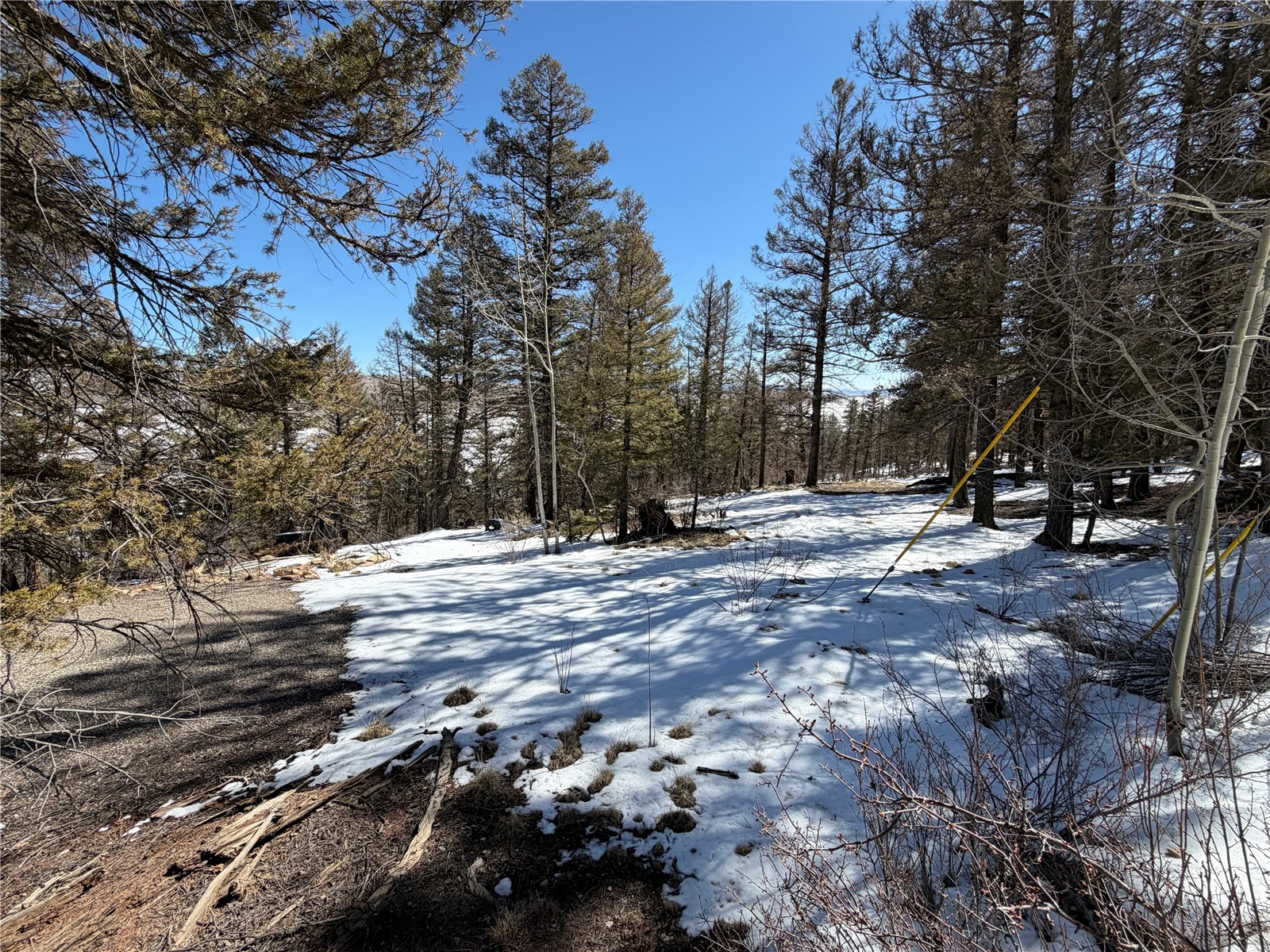 806 Middle Fork Property Photo 5