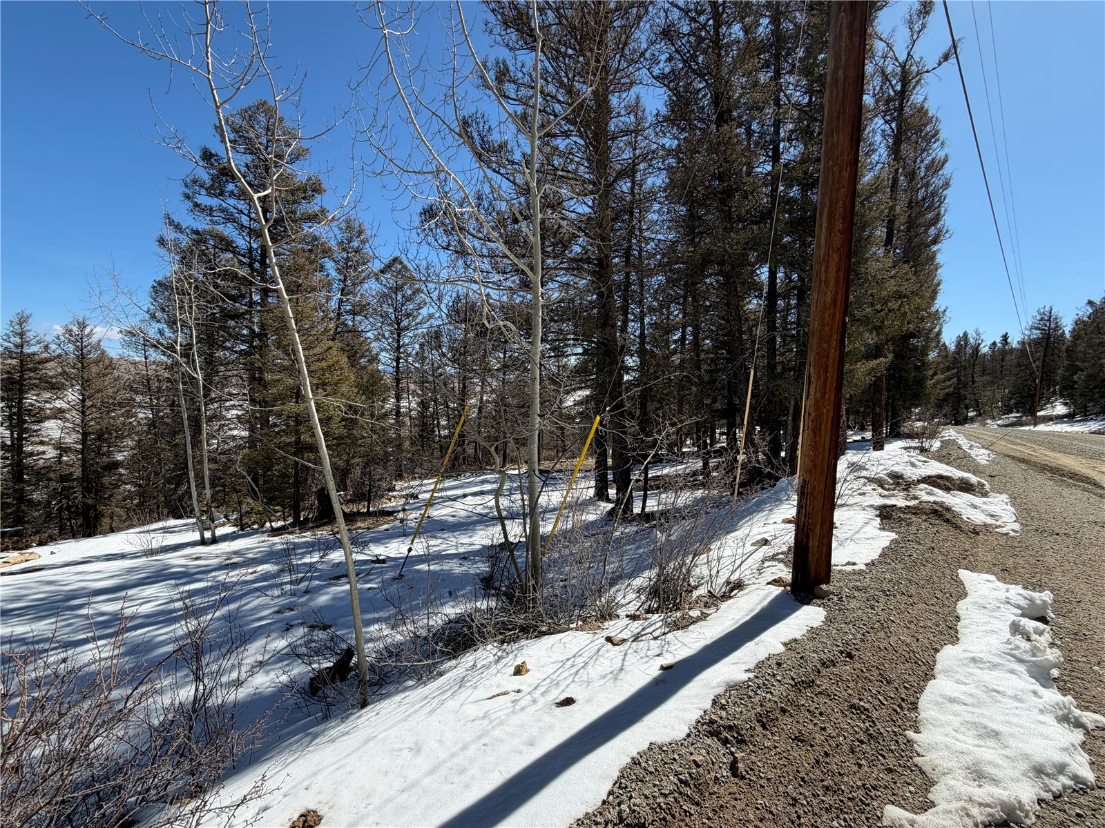 806 Middle Fork Property Photo 6
