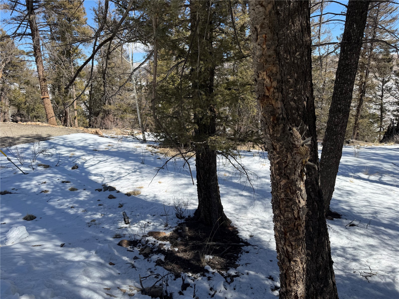 806 Middle Fork Property Photo 7