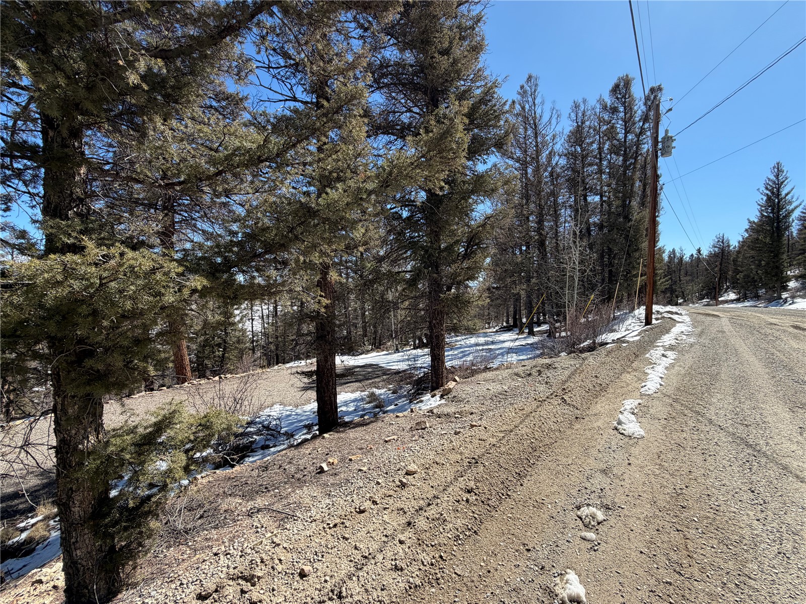 806 Middle Fork Property Photo 8