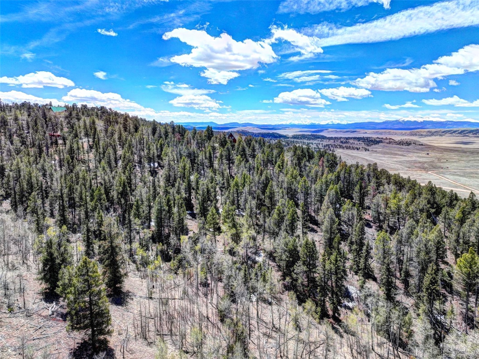 194 Bufflehead Circle Property Photo 12