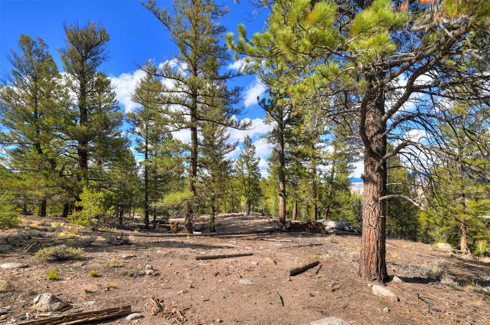 501 Reva Ridge Road Property Photo 4