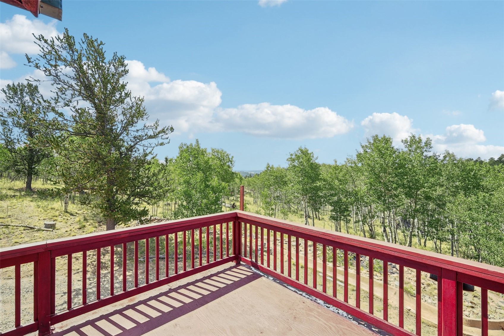 215 Gadwall Road Property Photo 39