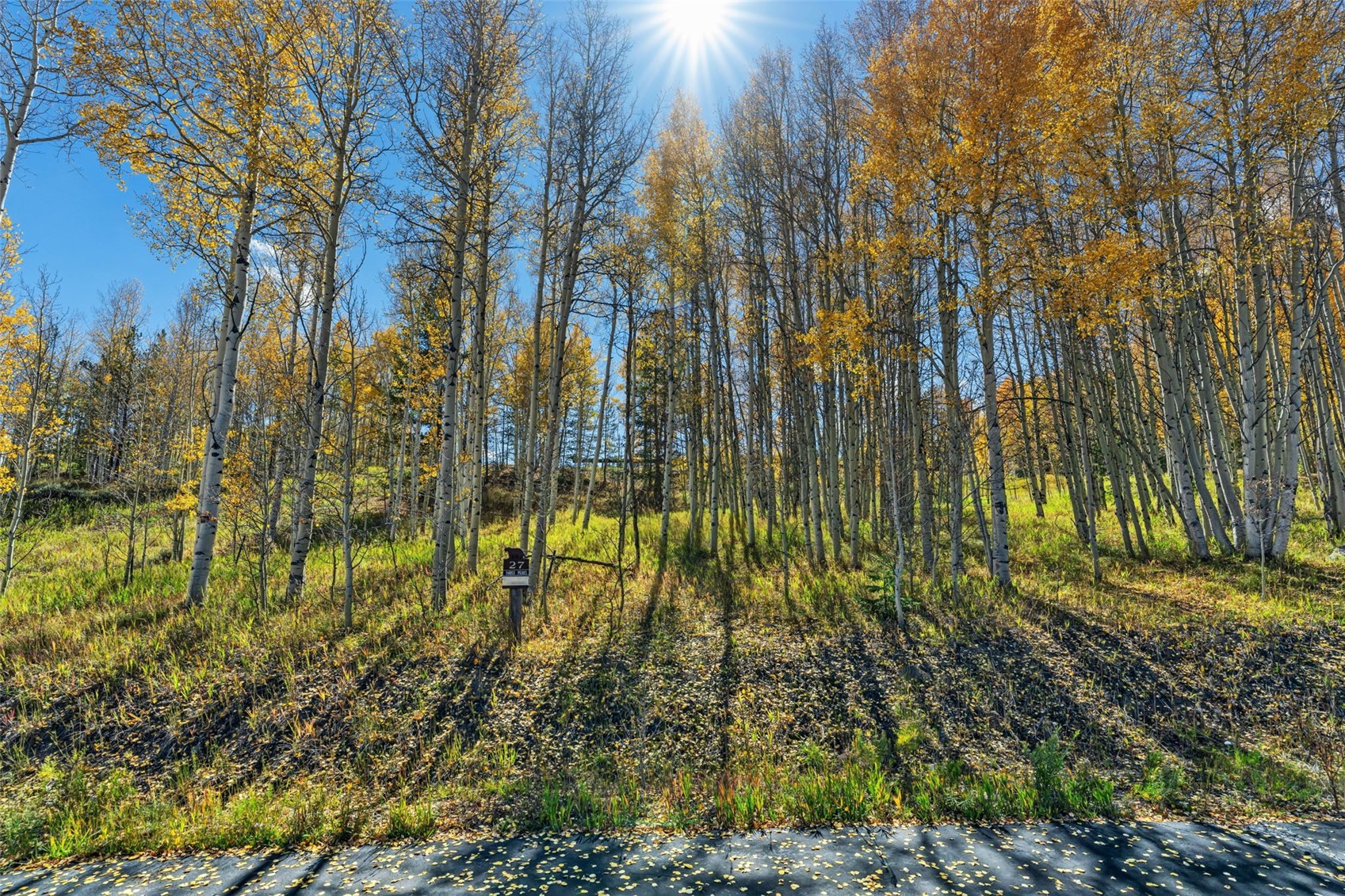 2180 Currant Way Property Photo 6