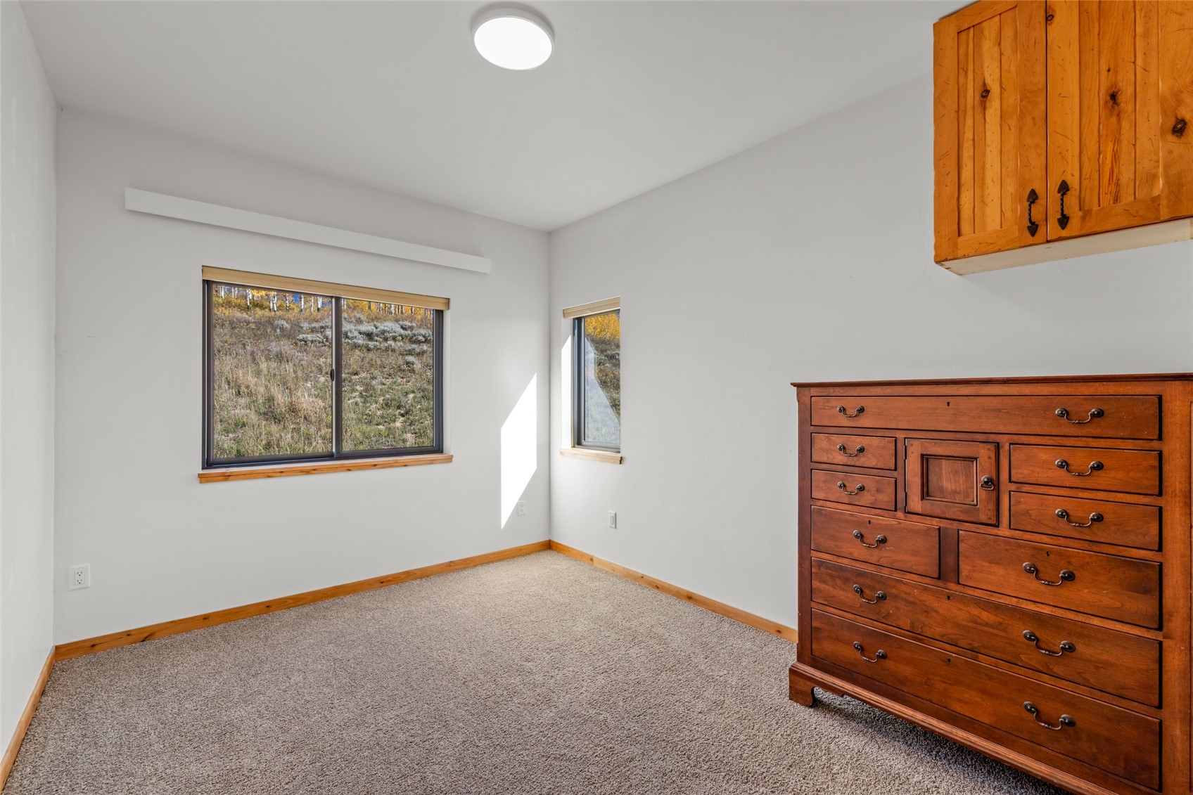196 Lower Bear Mountain Road Property Photo 20