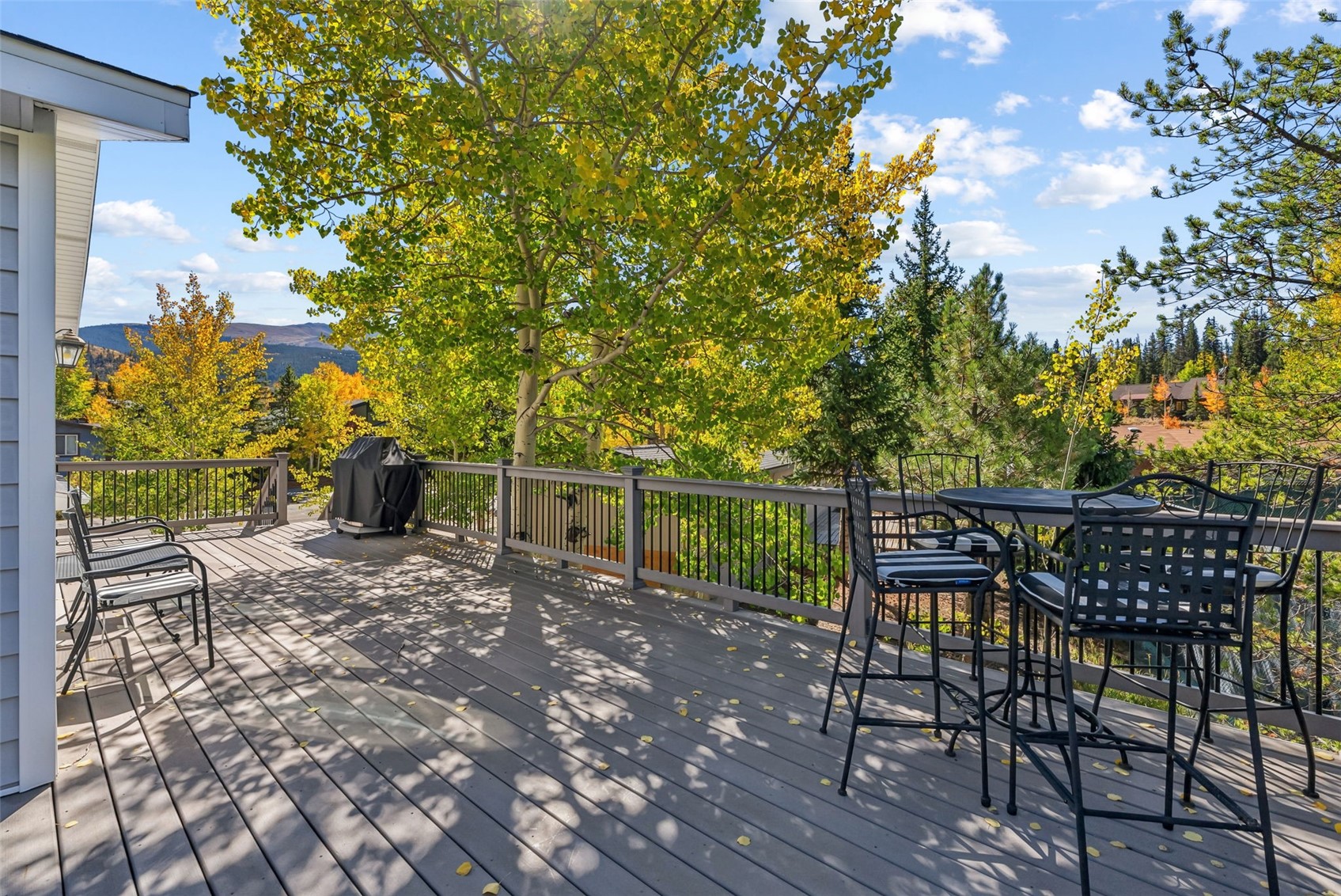 134 Gold Run Circle Property Photo 23