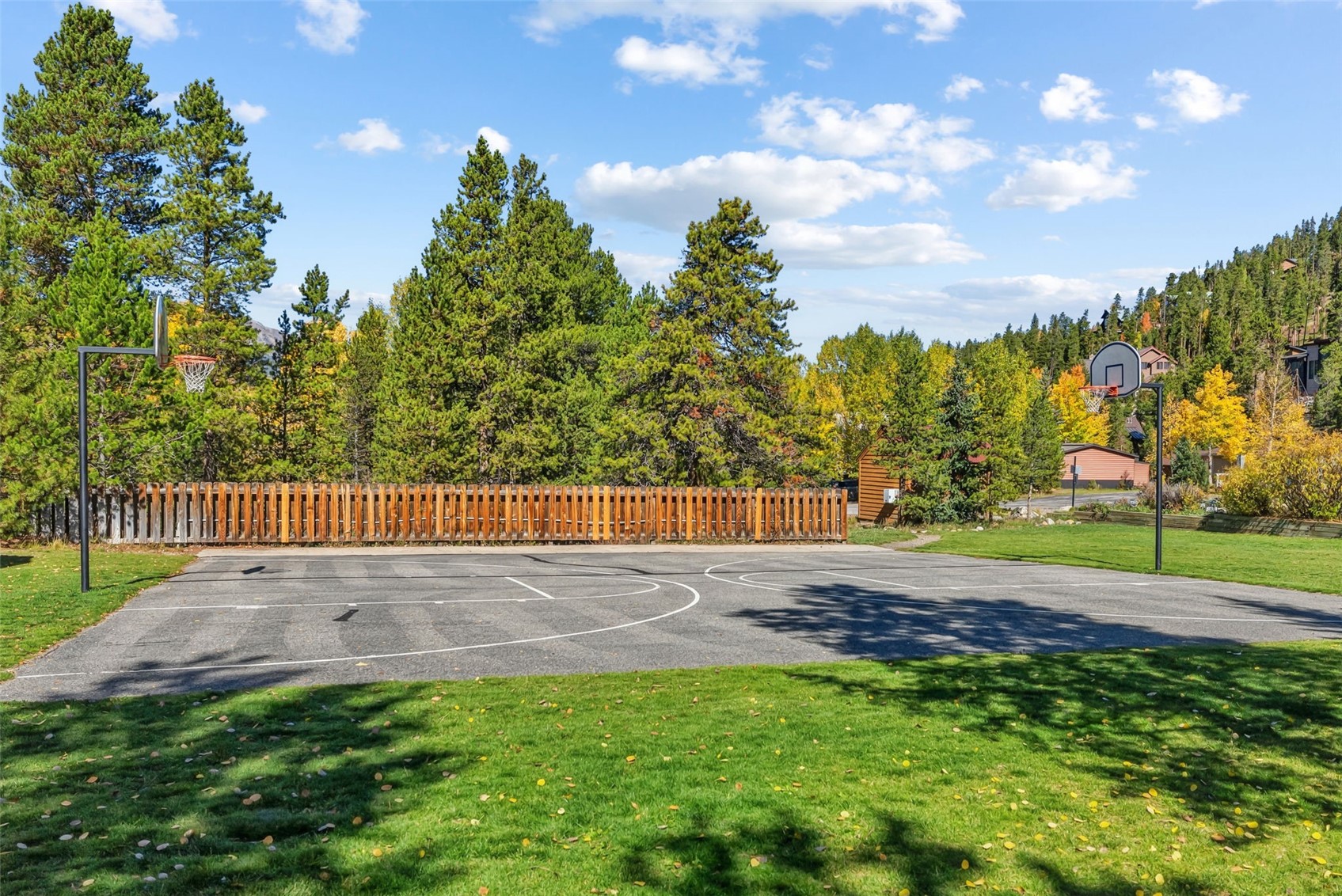 134 Gold Run Circle Property Photo 41