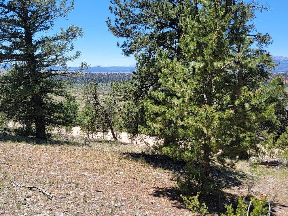 742 Bonell Drive Property Photo 42