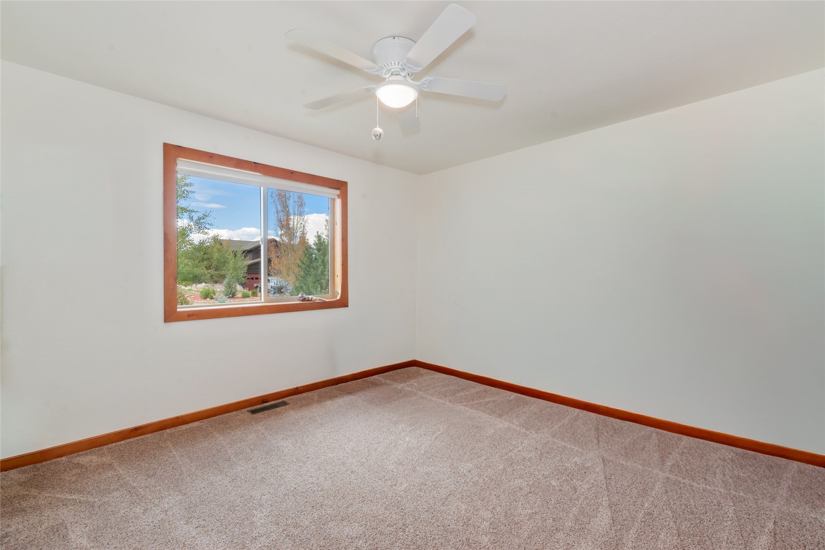 30290 Coyote Run Court Property Photo 28