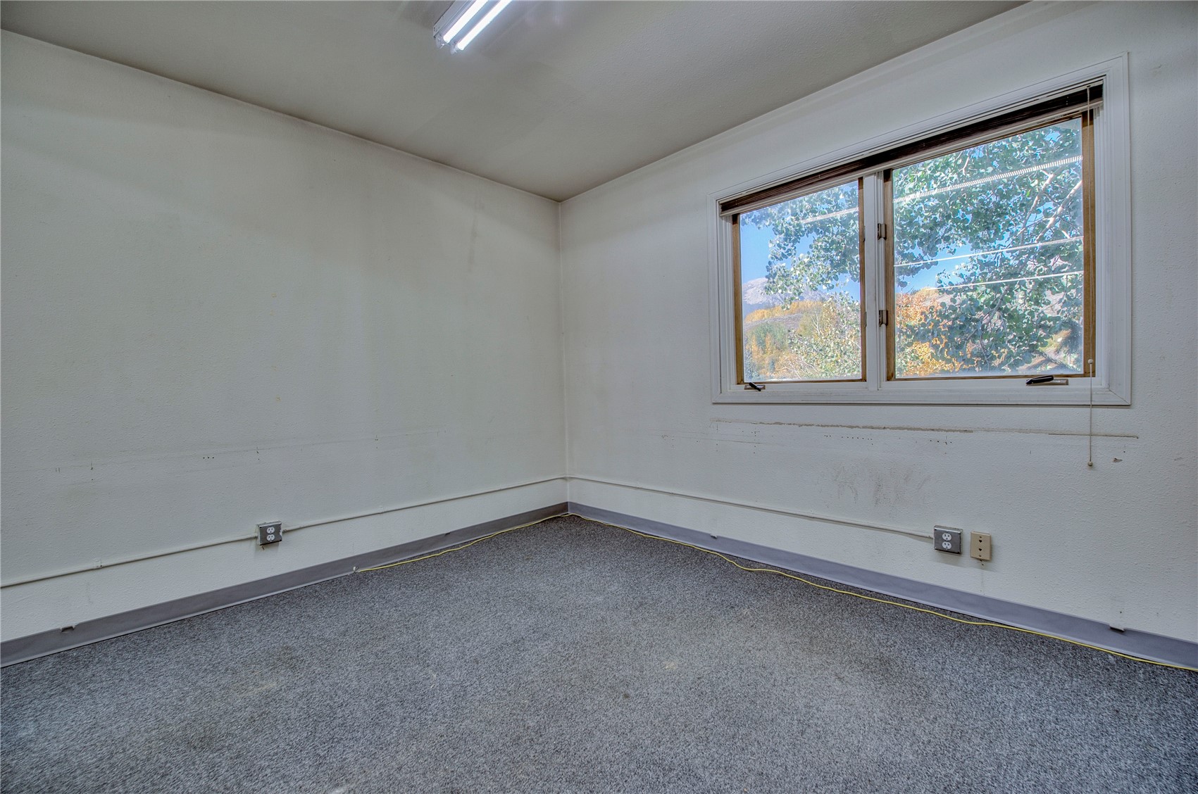 129 W 10 Street B Property Photo 24