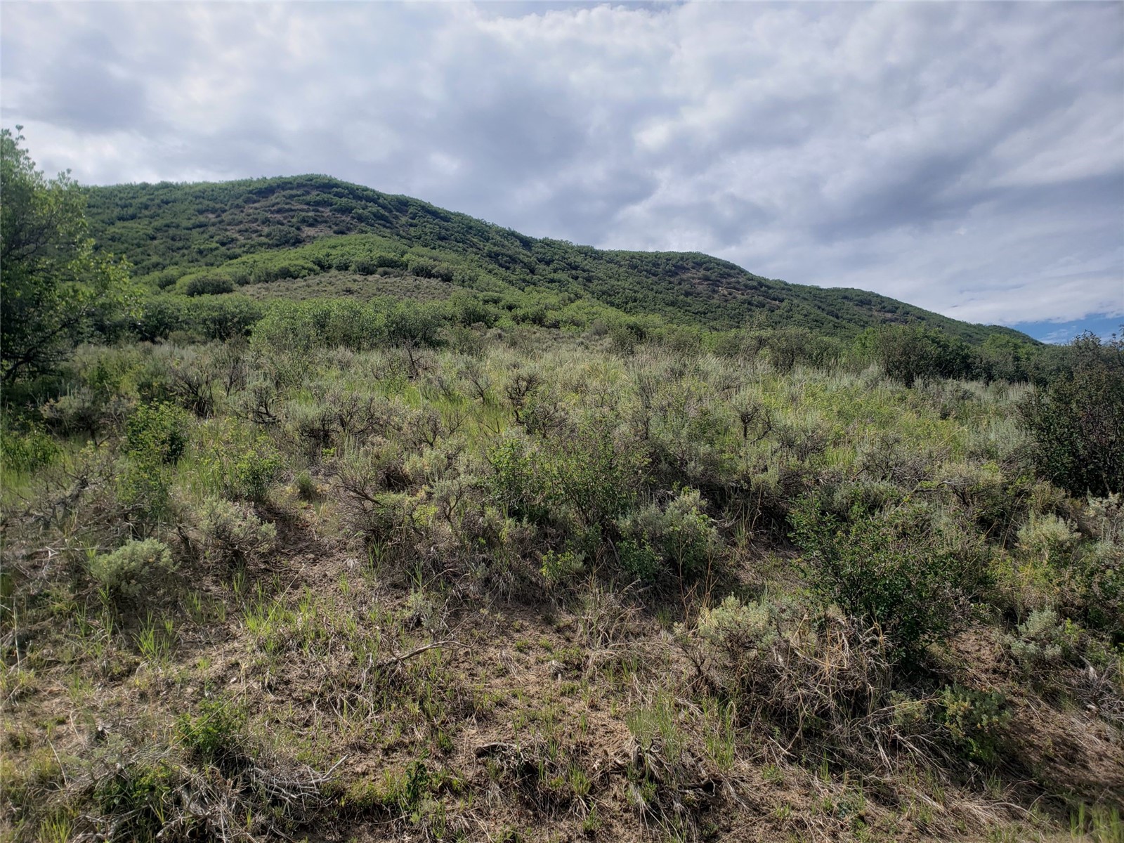 Tbd Co Rd 179 Property Photo 2