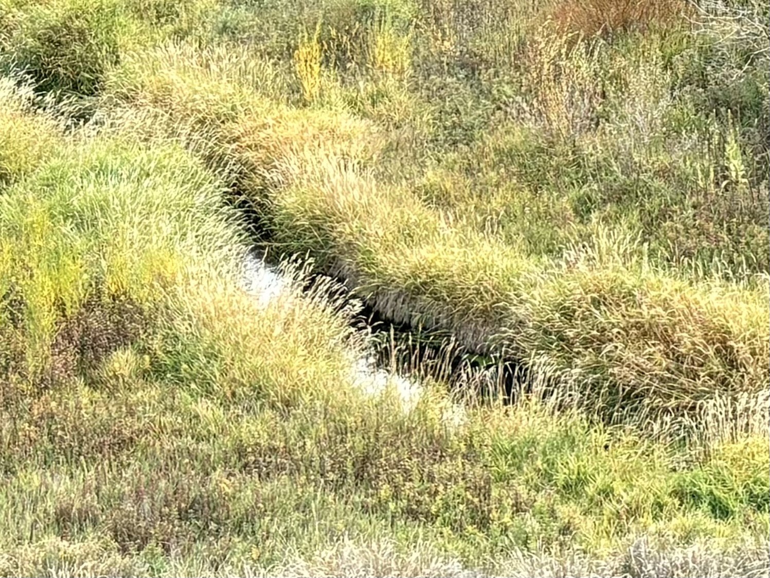 Tbd Co Rd 179 Property Photo 6