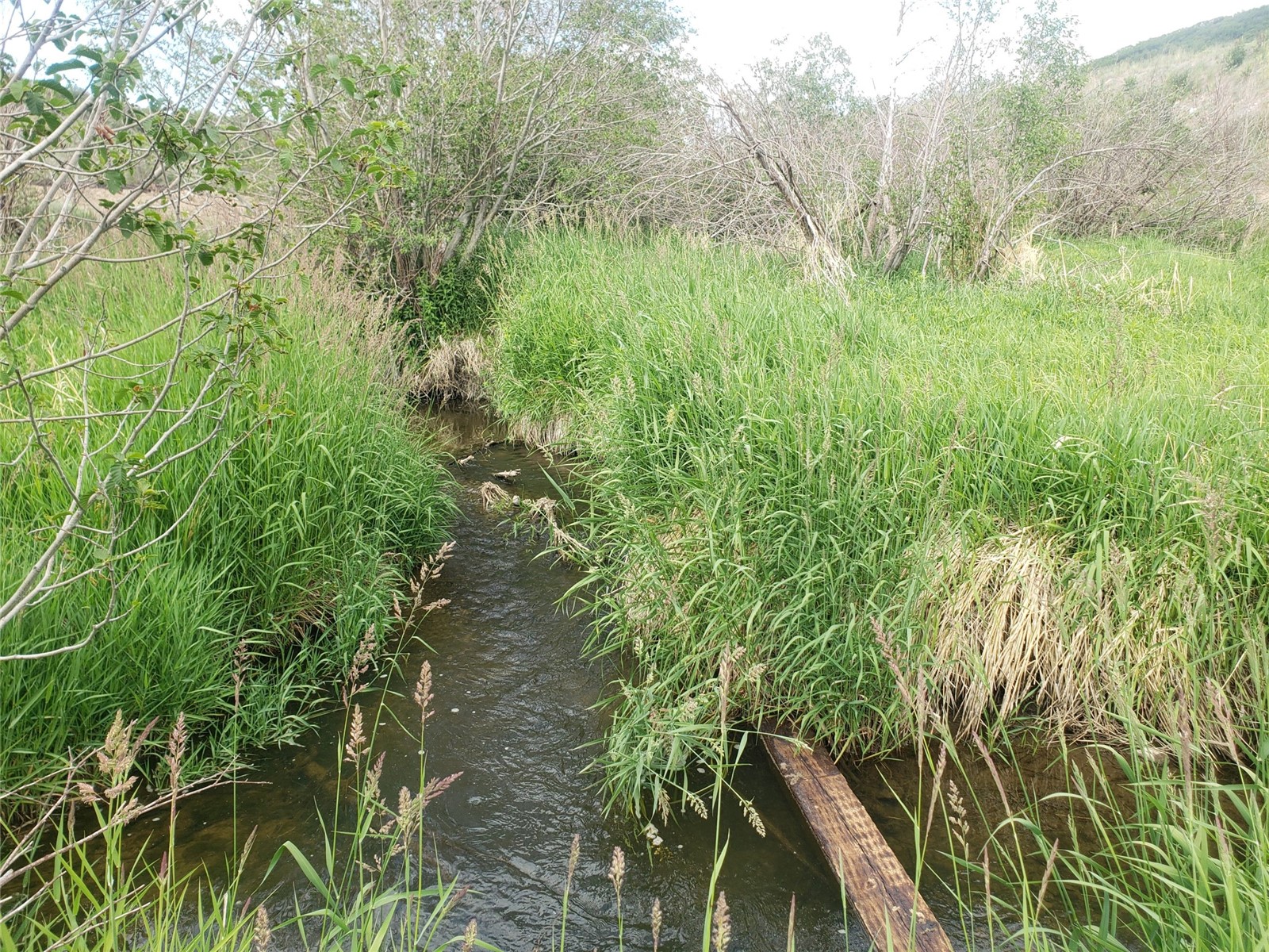 Tbd Co Rd 179 Property Photo 7