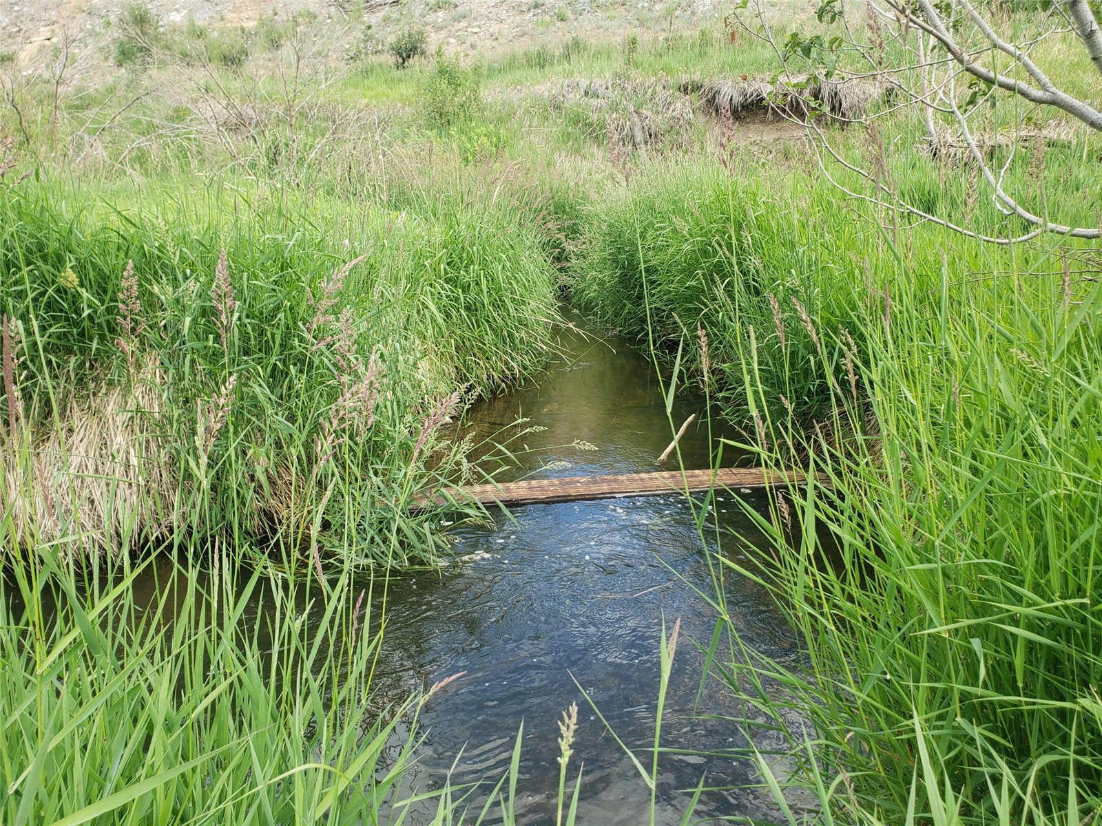 Tbd Co Rd 179 Property Photo 8