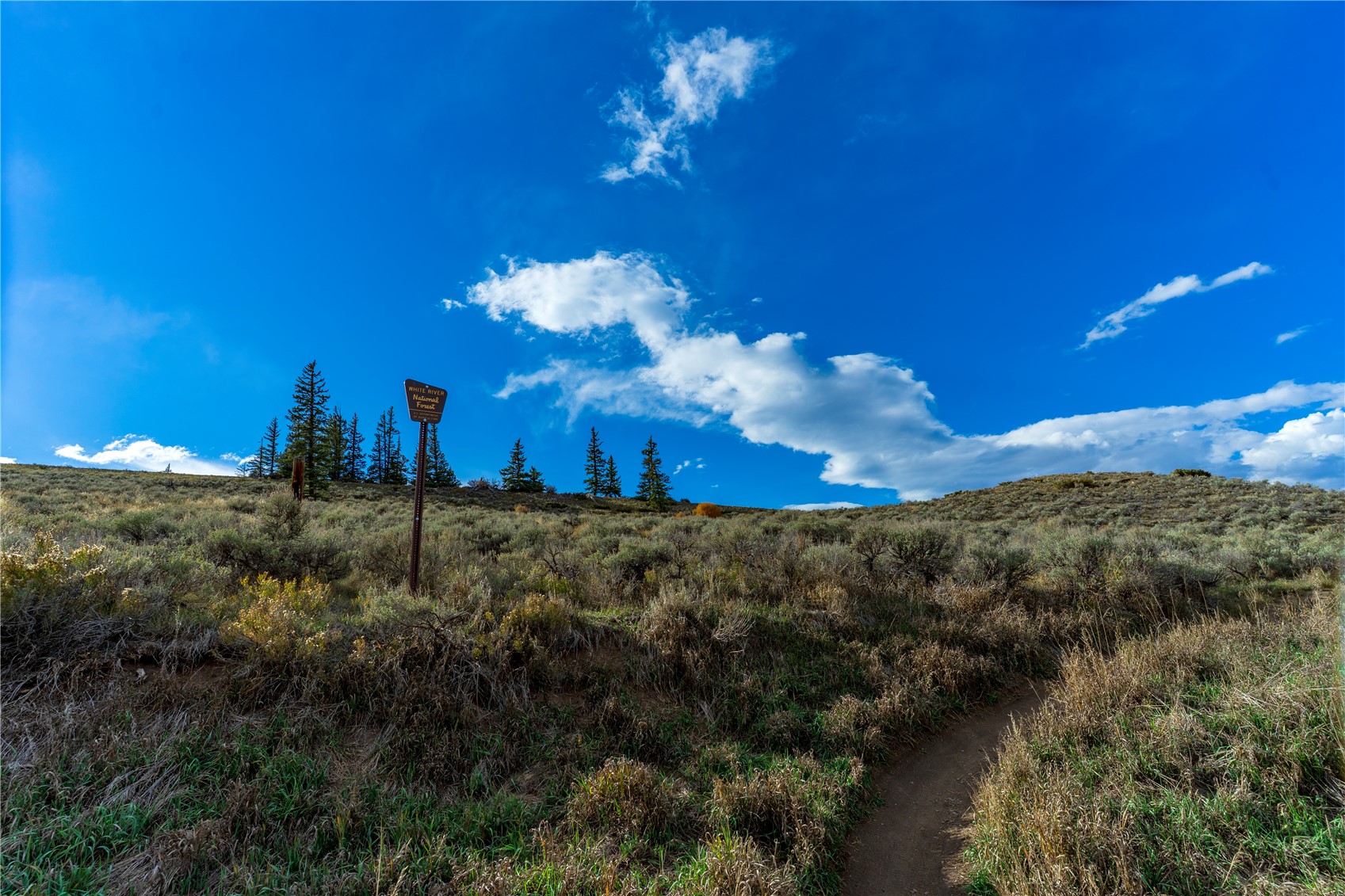 133 Pikes Peak Place Property Photo 38