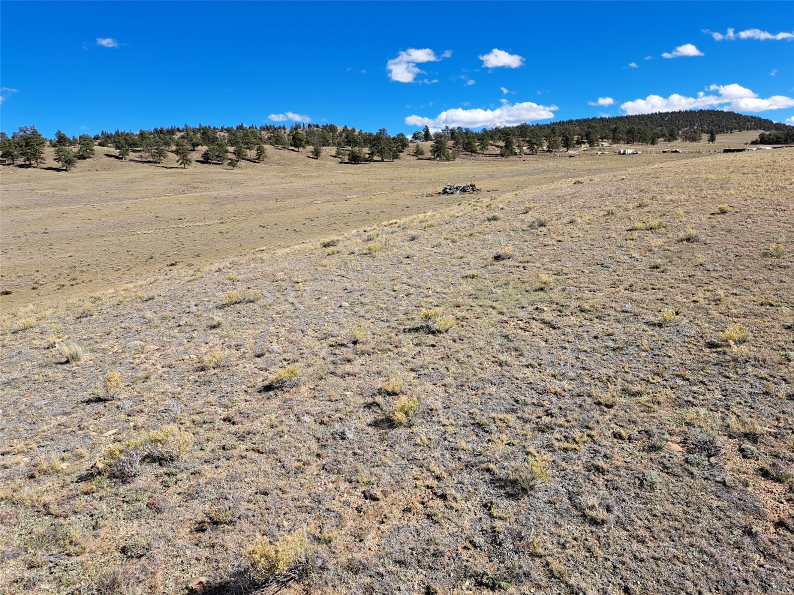 00 Vaquero Way Property Photo 3