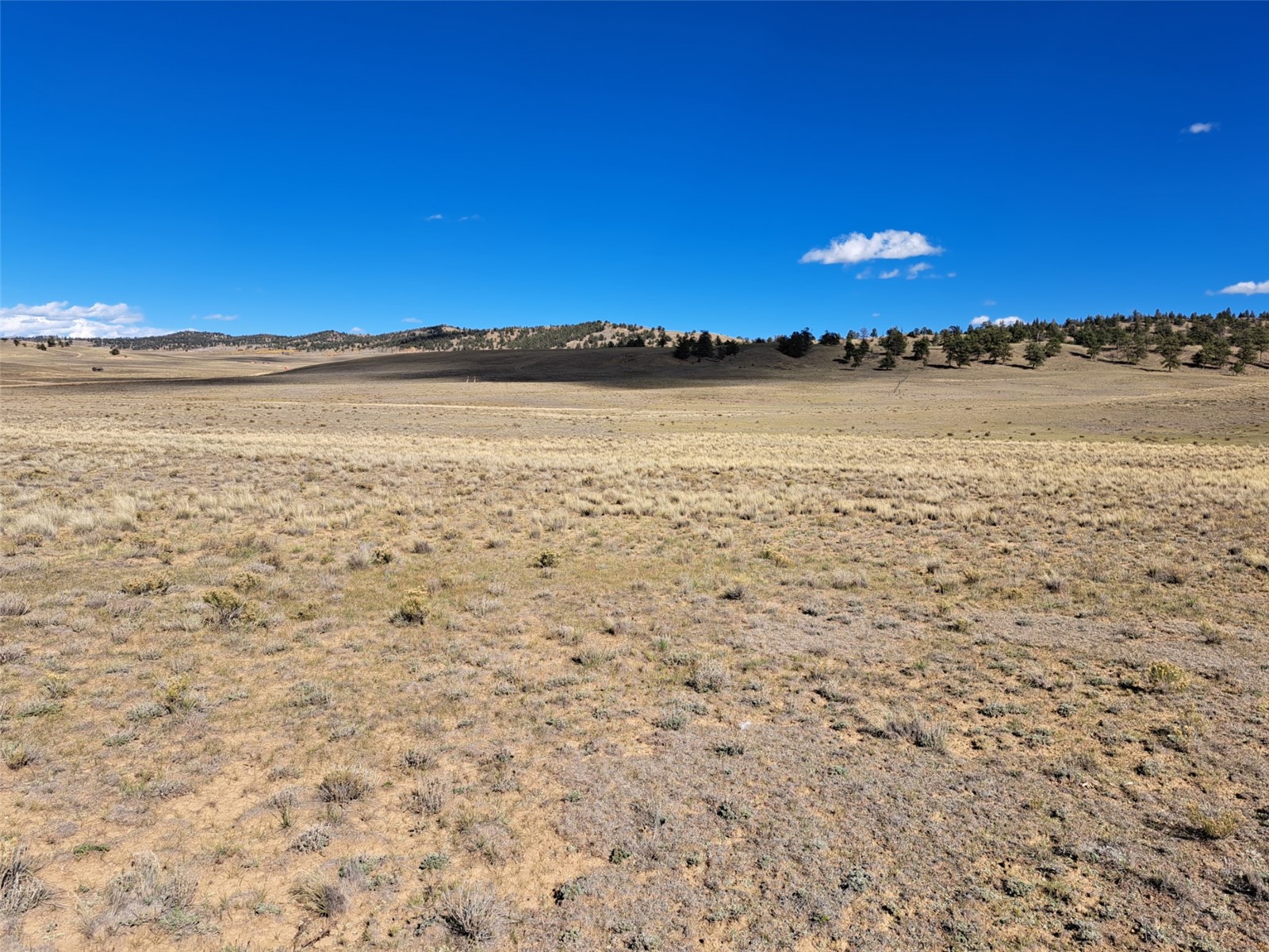 00 Vaquero Way Property Photo 10