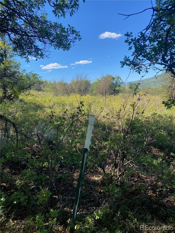 27165 Sundance Trail Property Photo 8