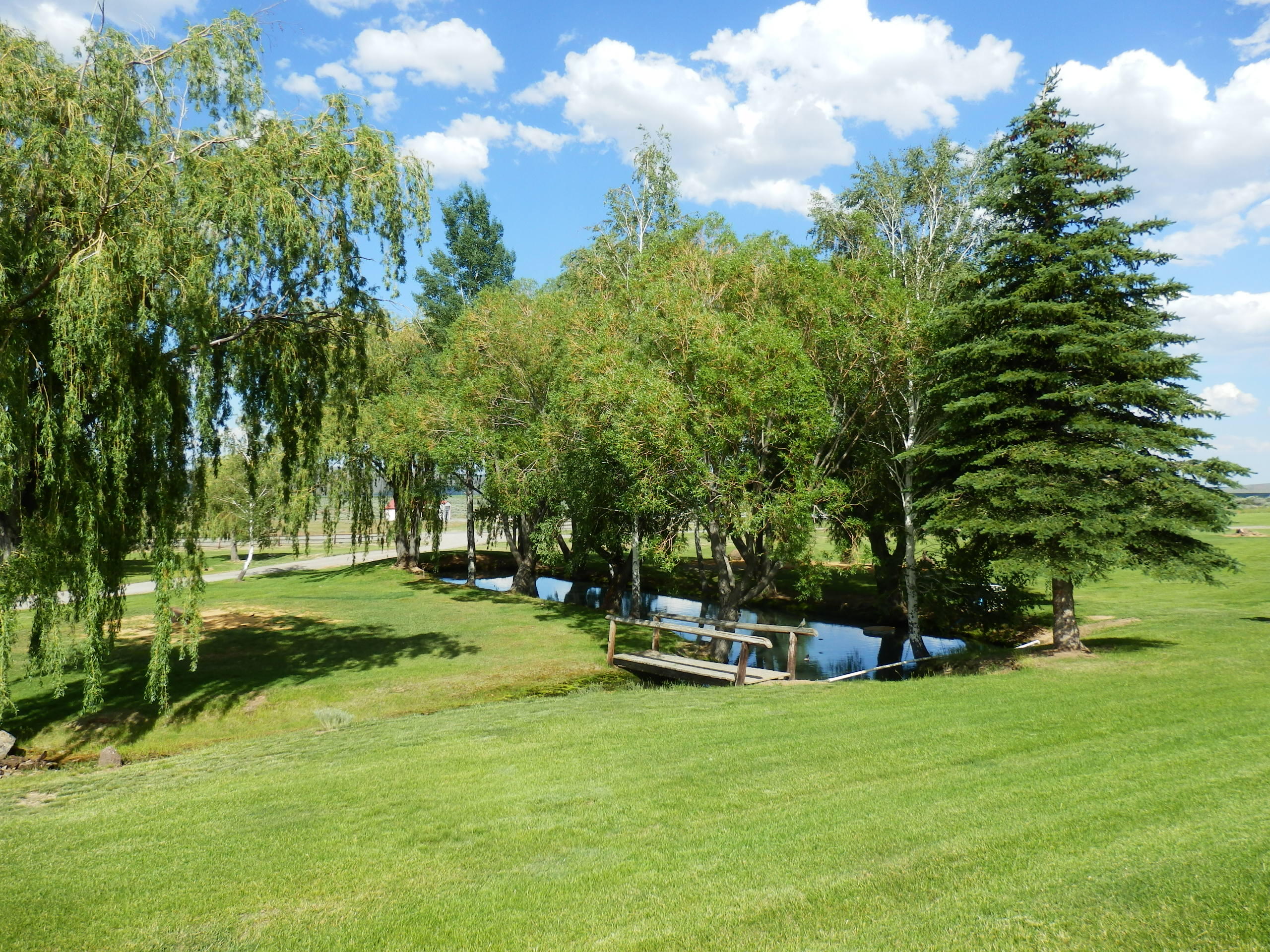 230 West Shore Loop Property Photo 10
