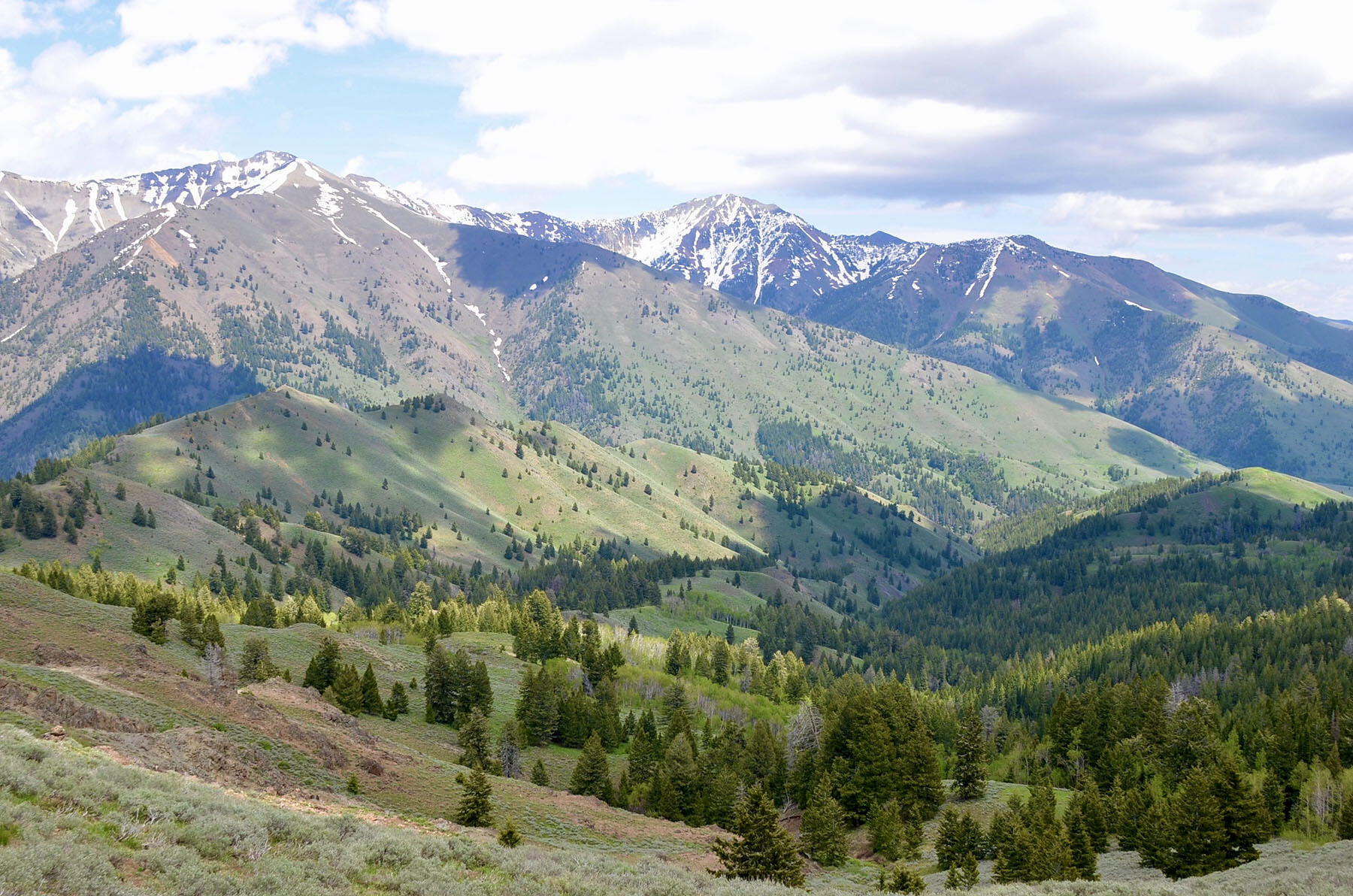 Lava Lake Road Property Photo 1