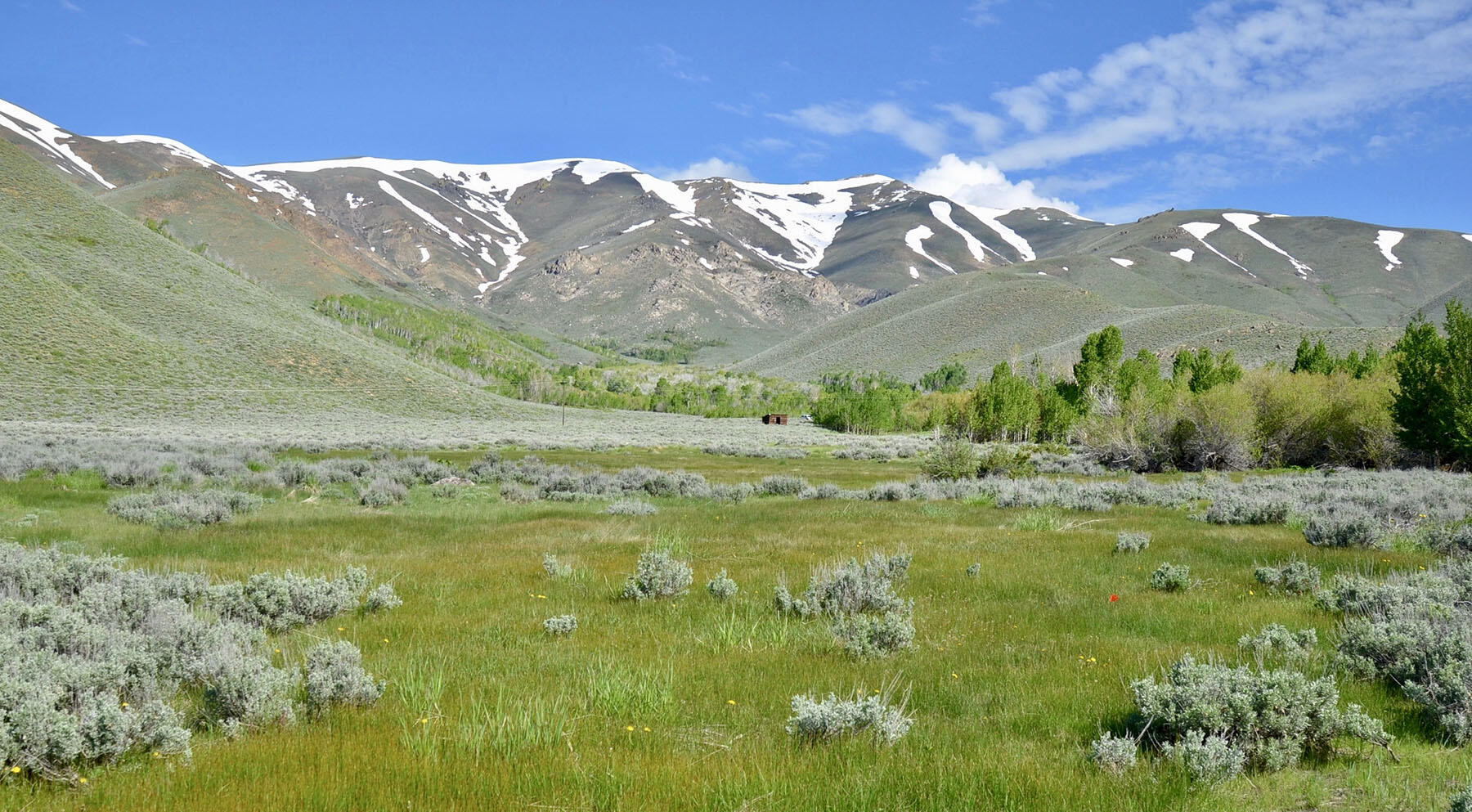 Lava Lake Road Property Photo 15