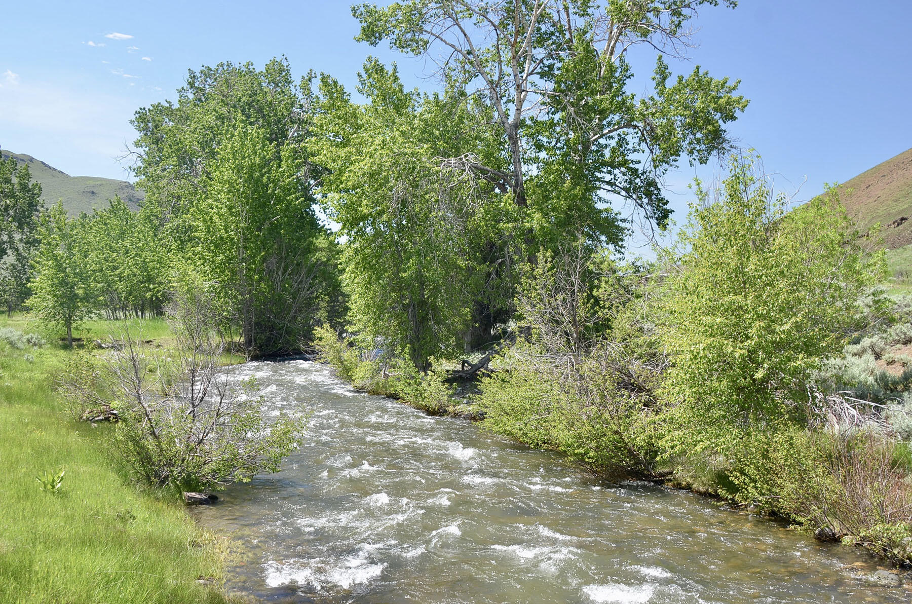 Lava Lake Road Property Photo 21