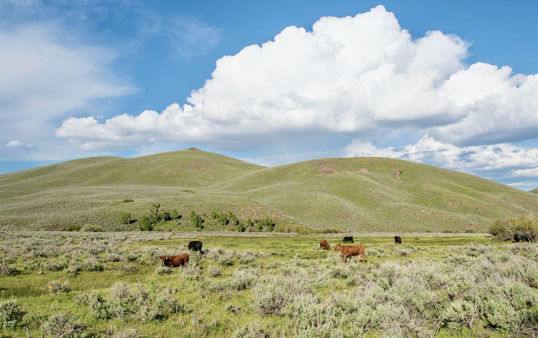 Lava Lake Road Property Photo 65