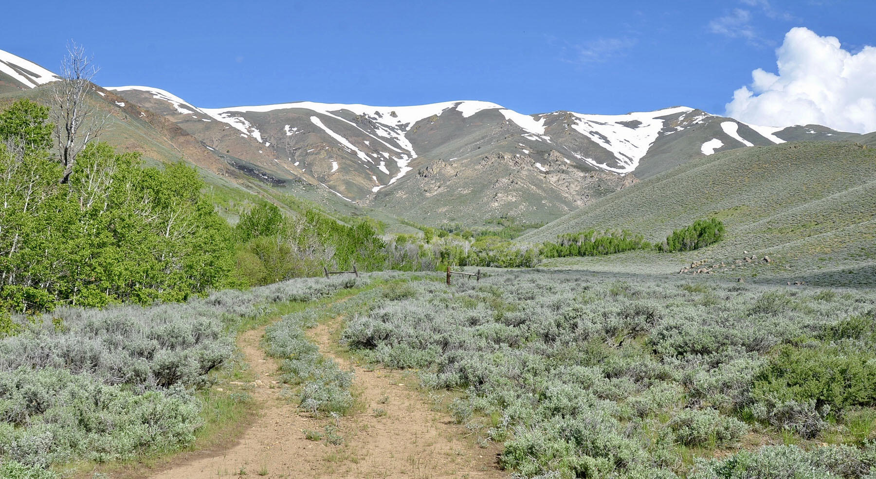 Lava Lake Road Property Photo 92