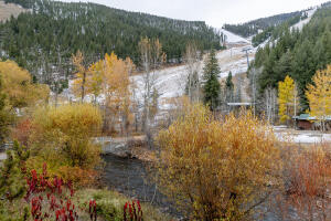 221 Picabo St #f (interest 3-c) Property Photo 4