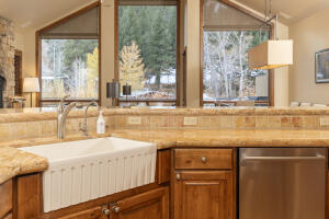 221 Picabo St #f (interest 3-c) Property Photo 8