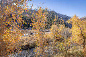 221 Picabo St #f (interest 3-c) Property Photo 37