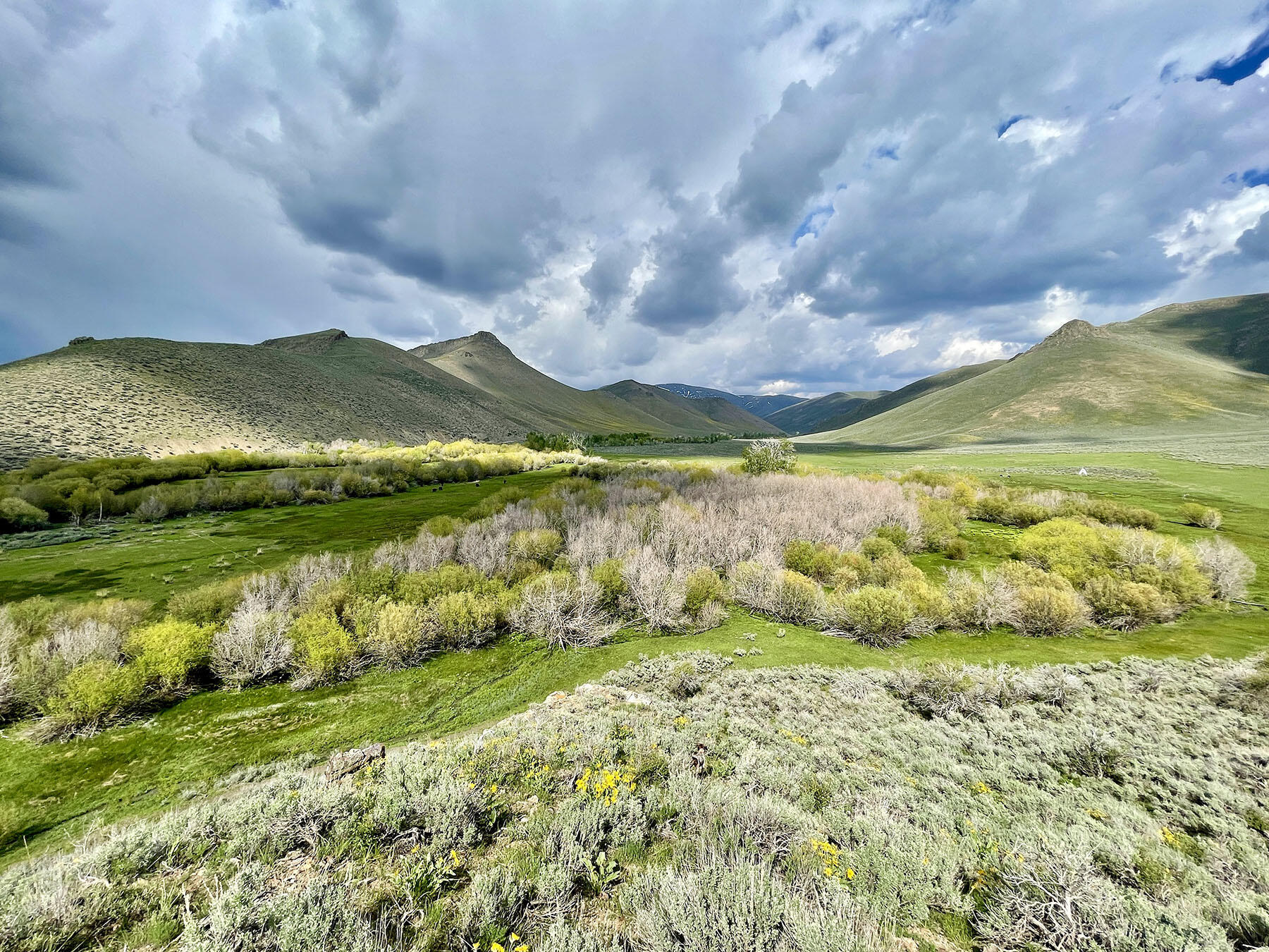 Fish Creek Rd Property Photo 4