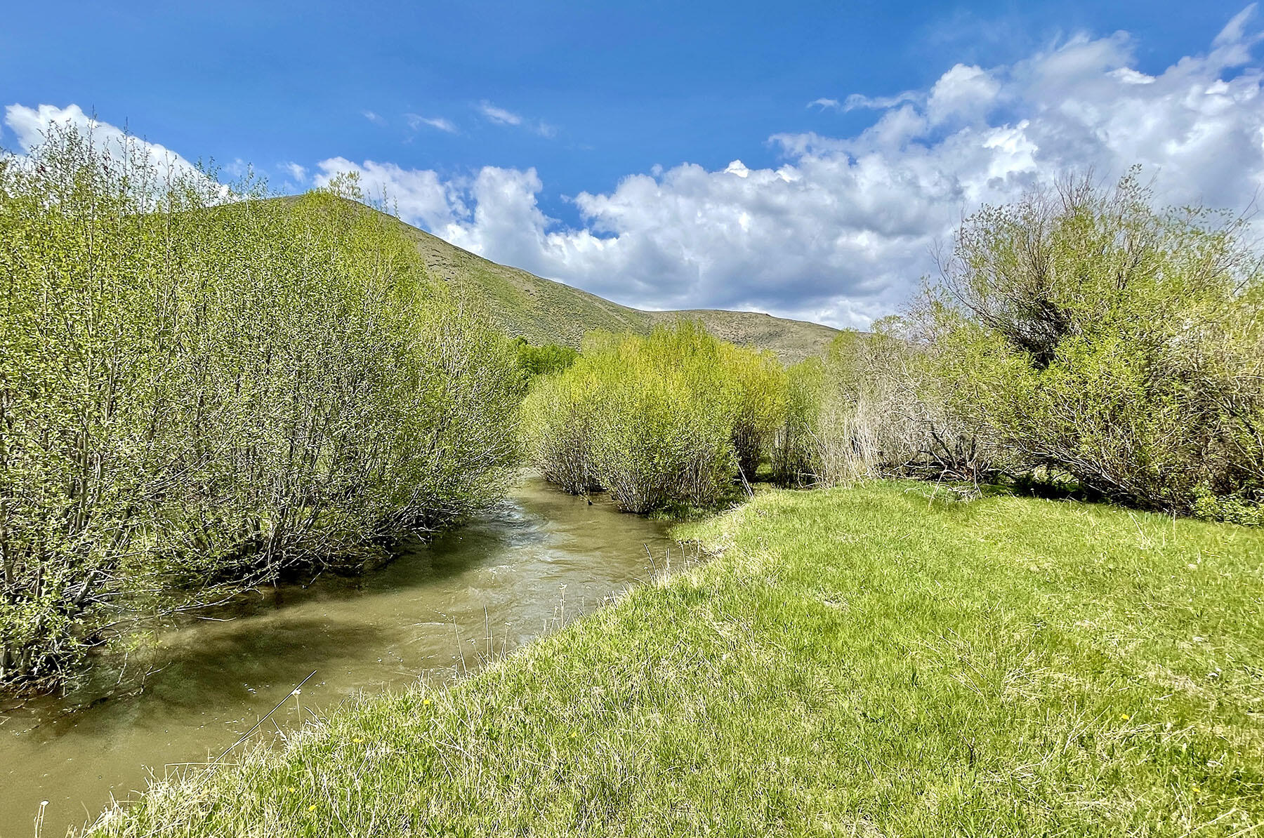 Fish Creek Rd Property Photo 7
