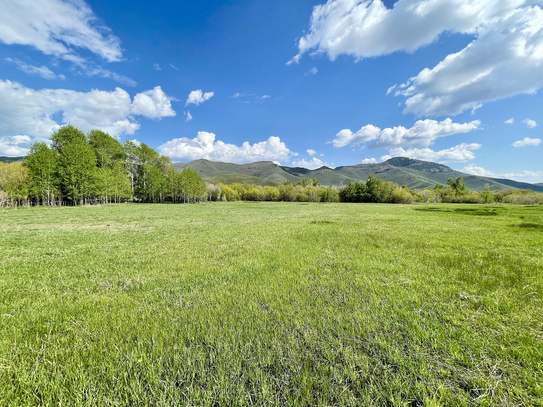 Fish Creek Rd Property Photo 9