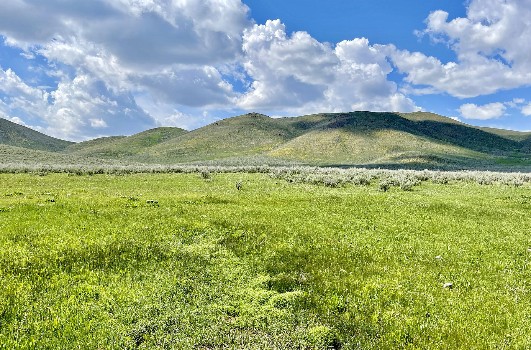 Fish Creek Rd Property Photo 11