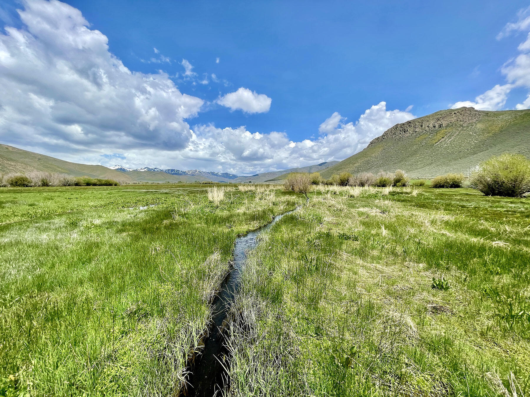 Fish Creek Rd Property Photo 12