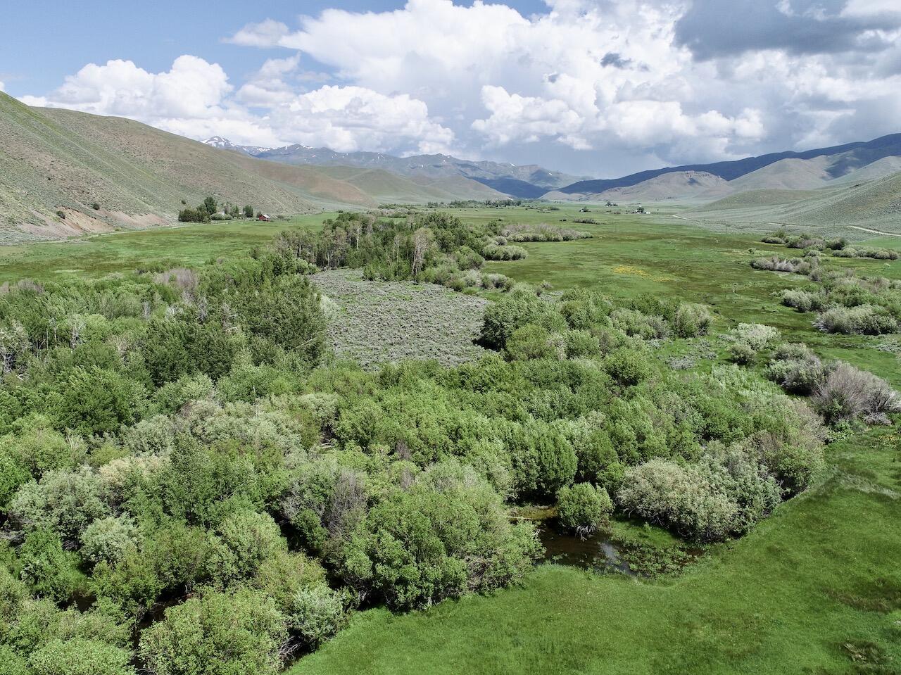 Fish Creek Rd Property Photo 39