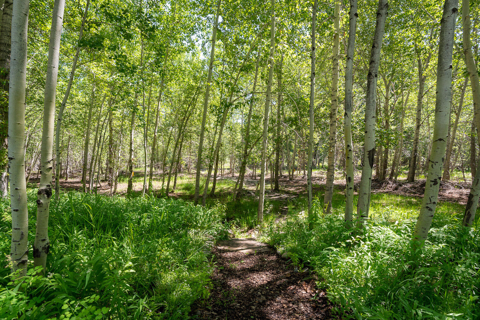 100 Rainbow Bend Rd Rural County Property Photo 48