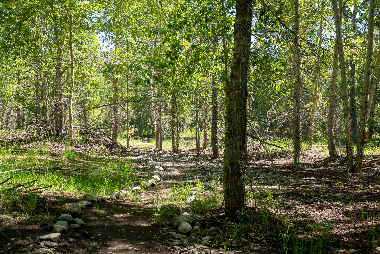 100 Rainbow Bend Rd Rural County Property Photo 61