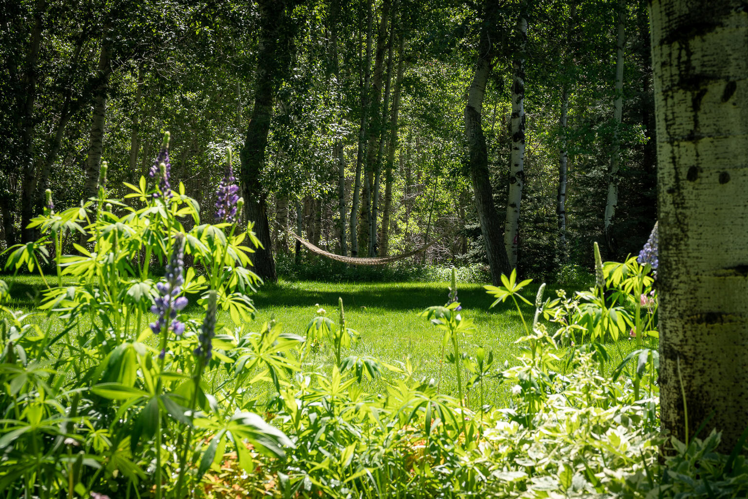 100 Rainbow Bend Rd Rural County Property Photo 64