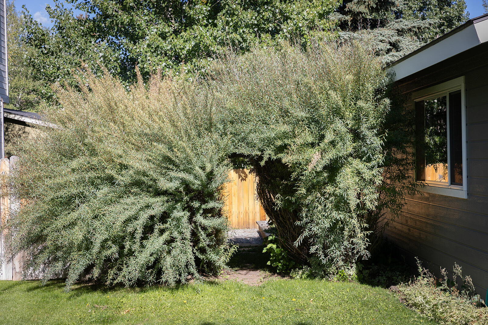530 Eureka Dr Property Photo 31