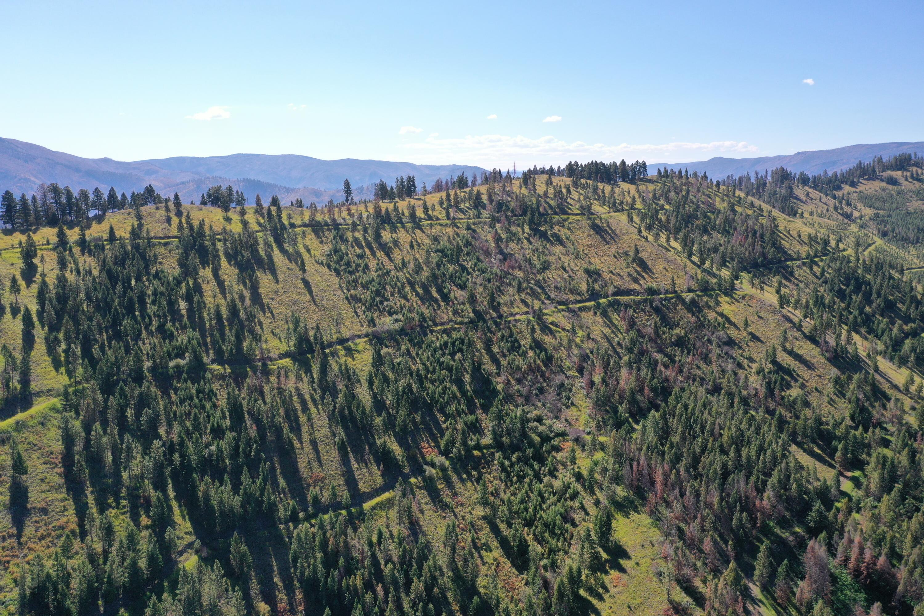Tbd Pine Creek Rd Property Photo 2
