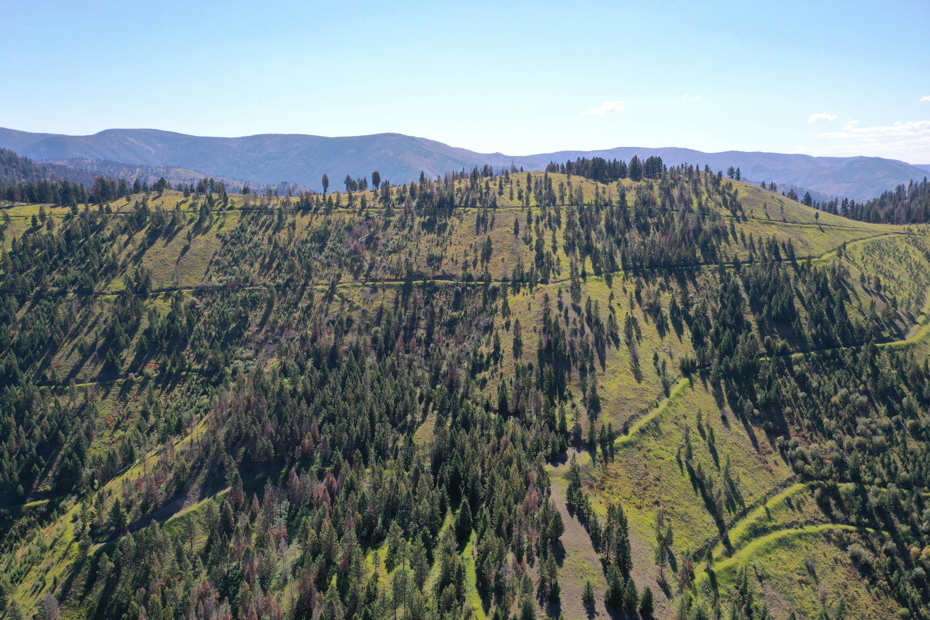 Tbd Pine Creek Rd Property Photo 3