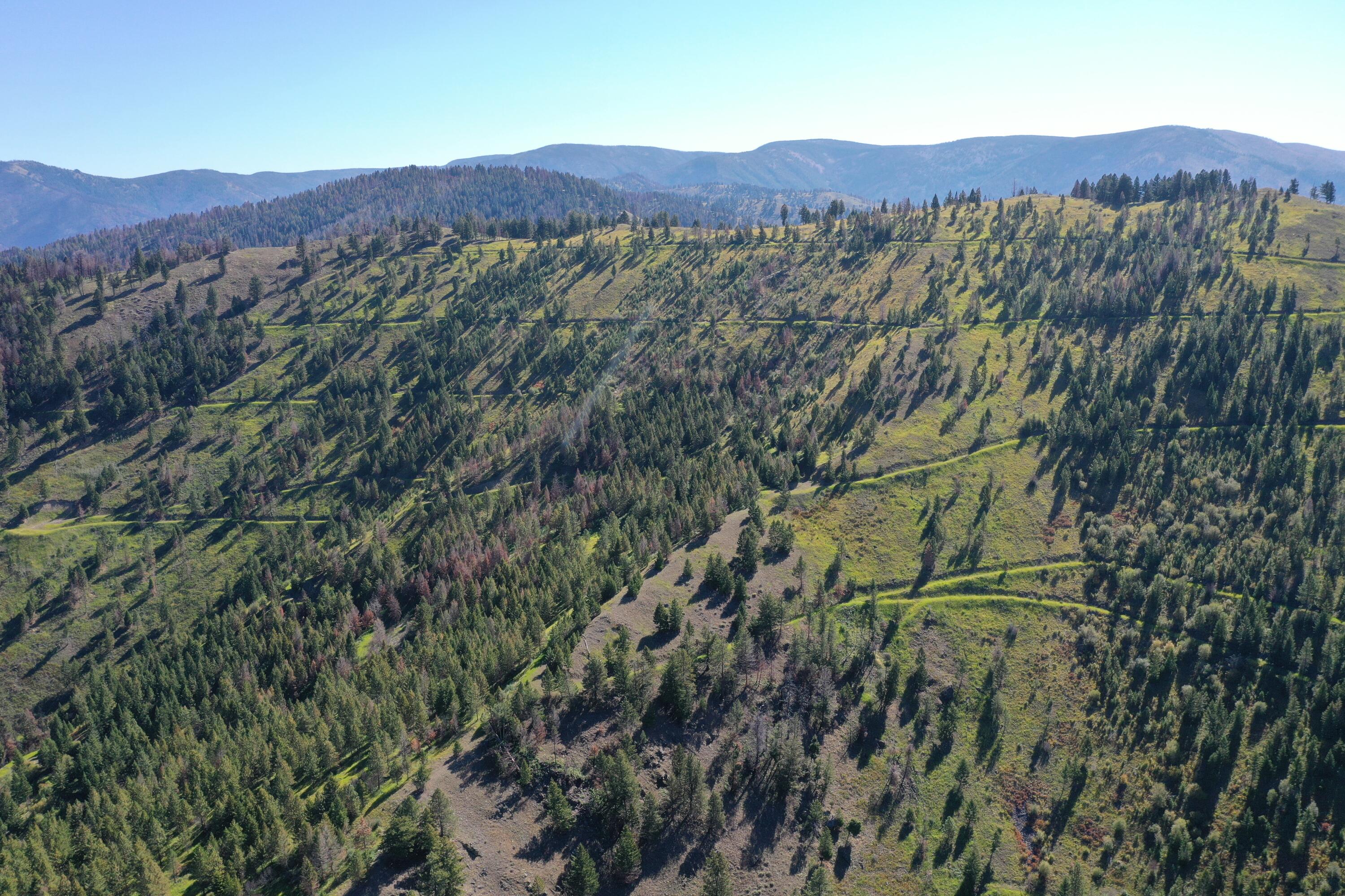 Tbd Pine Creek Rd Property Photo 4