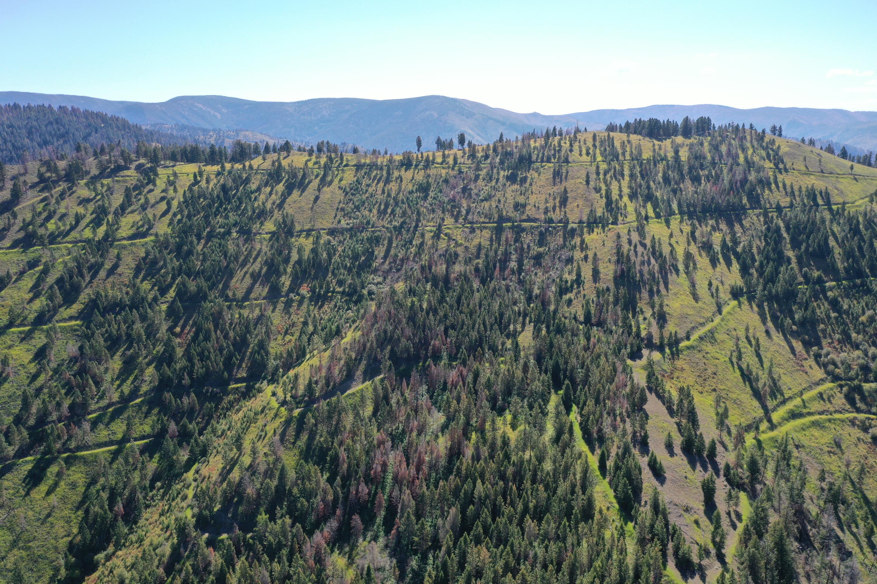 Tbd Pine Creek Rd Property Photo 5