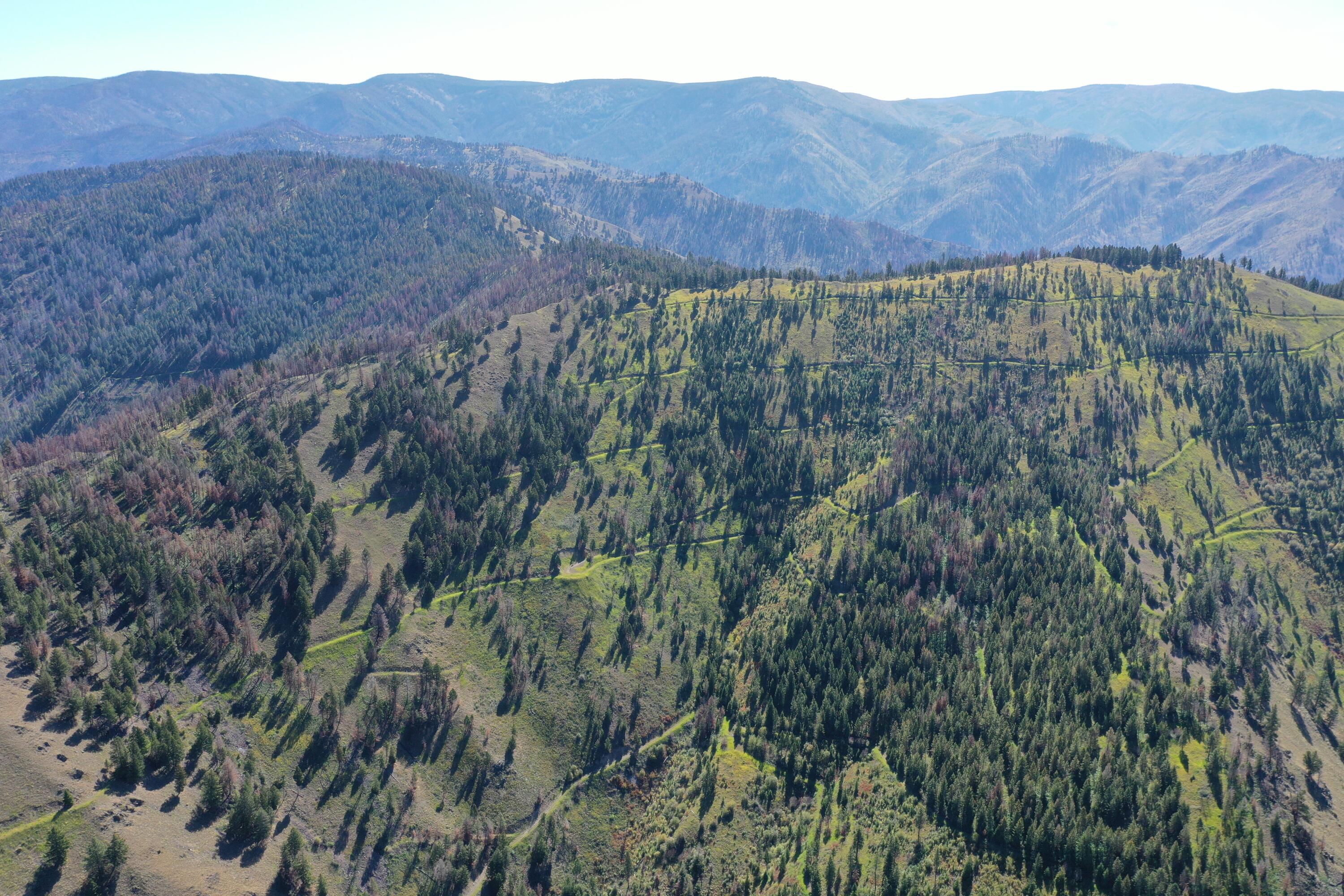 Tbd Pine Creek Rd Property Photo 6