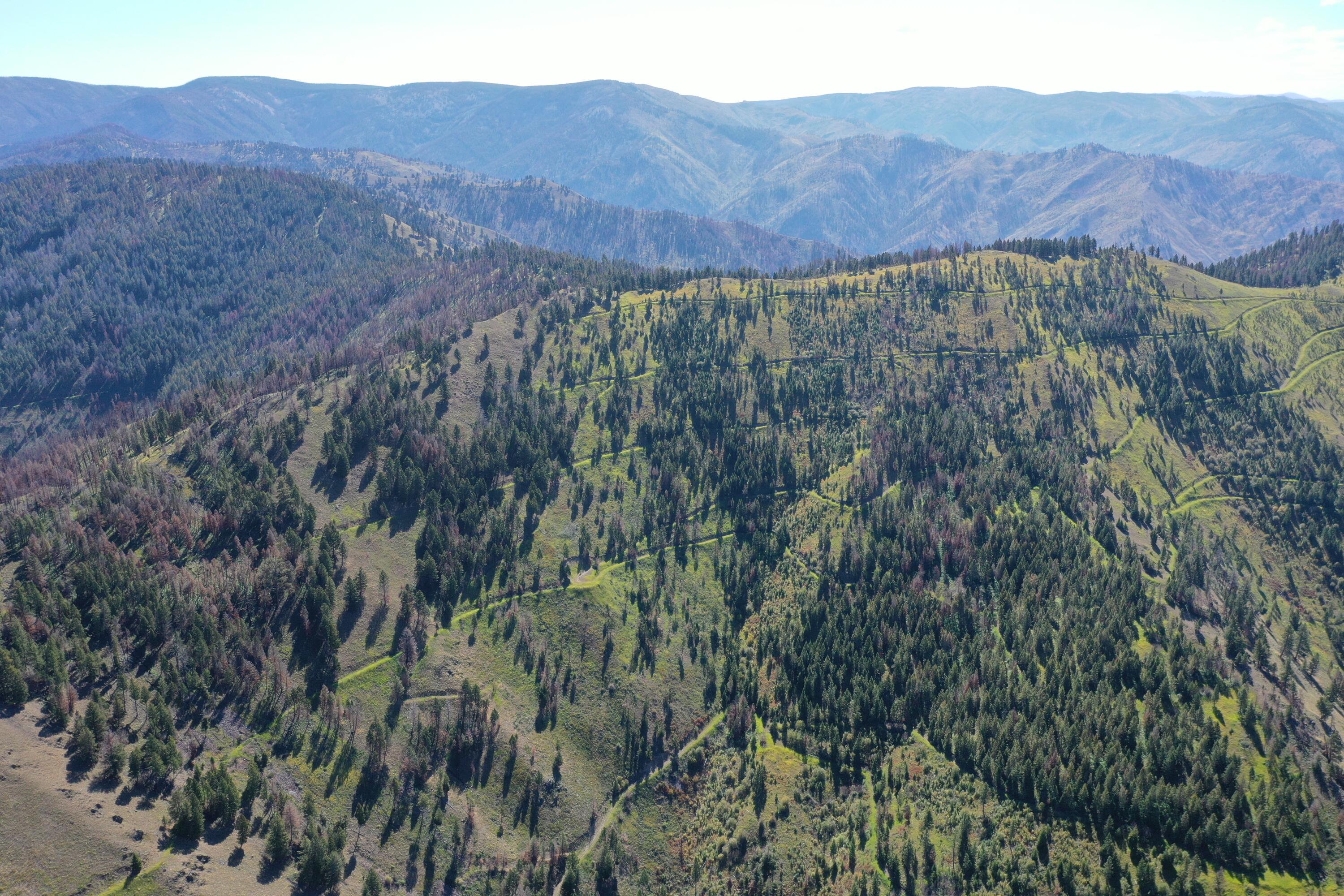 Tbd Pine Creek Rd Property Photo 7